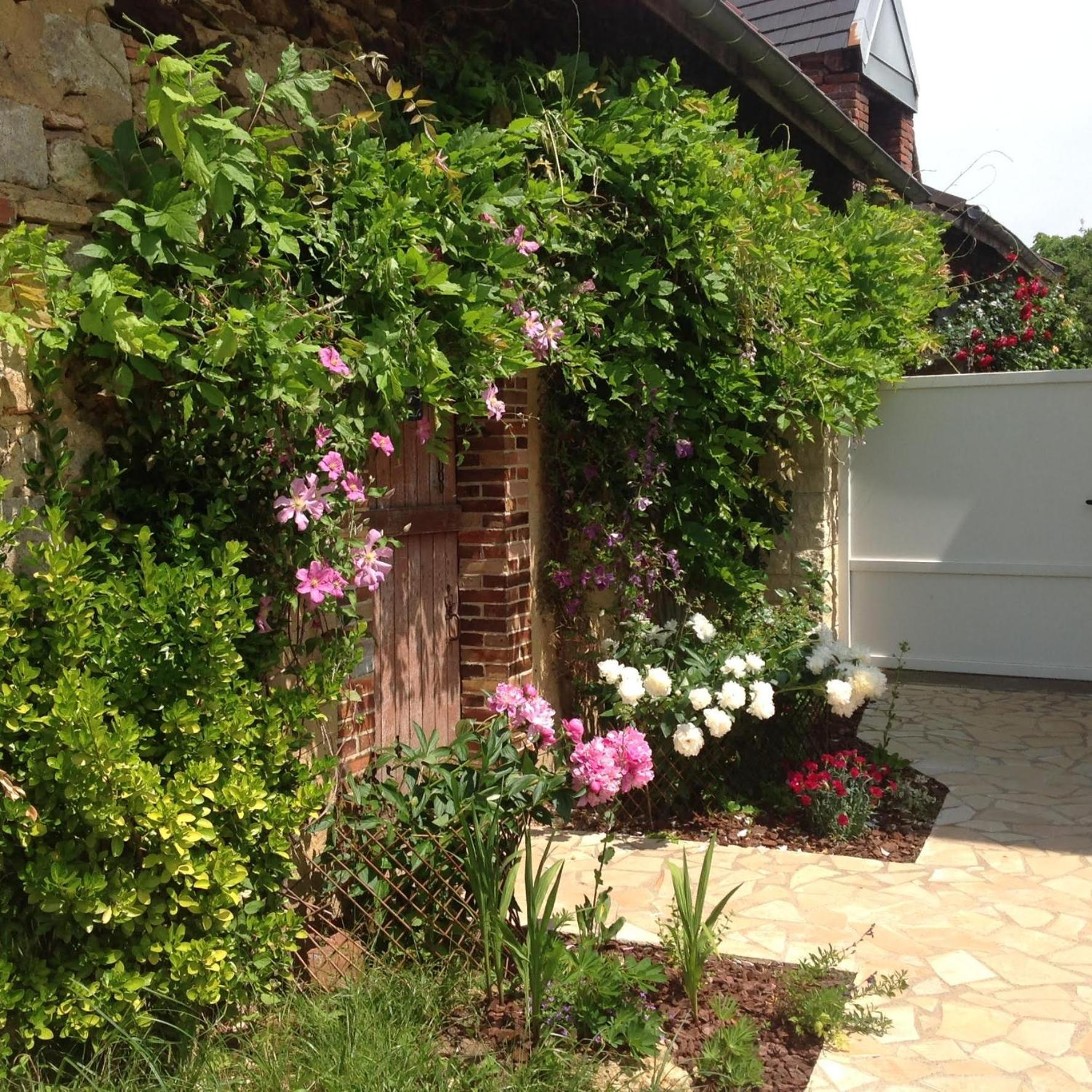 Hotel La bicoque en Puisaye Saint-Amand-en-Puisaye Exterior foto